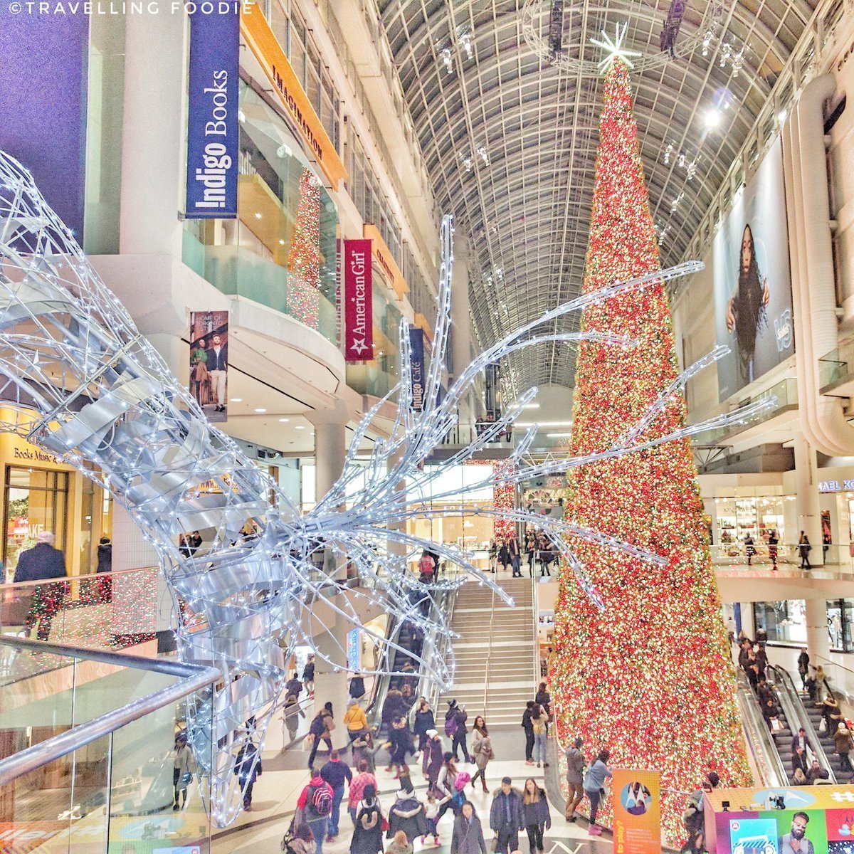 Canada's Largest Christmas Tree at the Eaton Centre