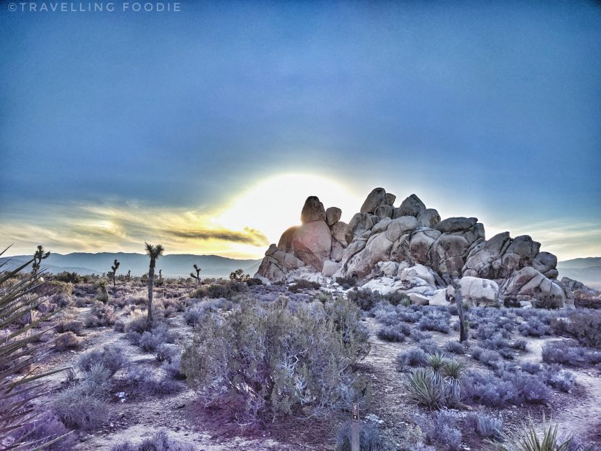 11 Things To Do in SoCal Travelling Foodie