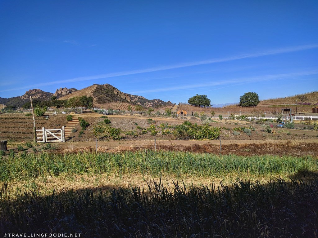 A Weekend Guide to Conejo Valley