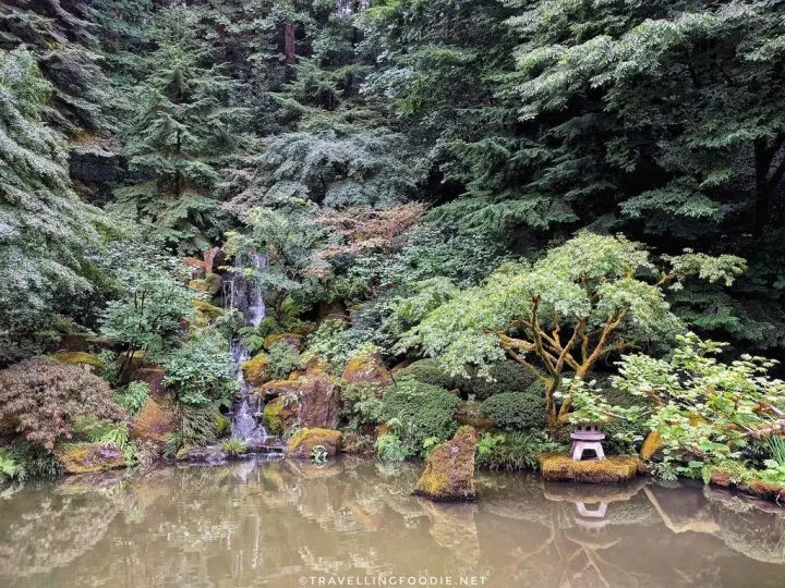 Heavenly Falls in the Strolling Pond Garden at Portland Japanese Garden in Portland, Oregon