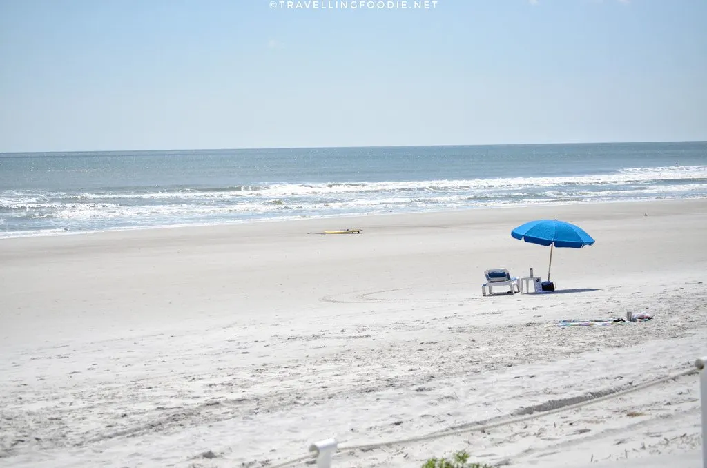 Jacksonville, Florida: One Day Travel Guide