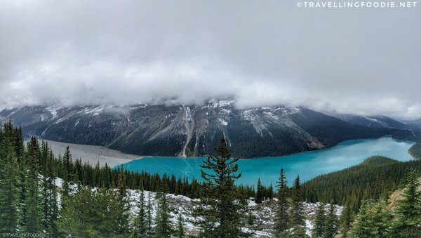 Panoramic View of Peyto Lake in Banff National Park, Alberta, Canada