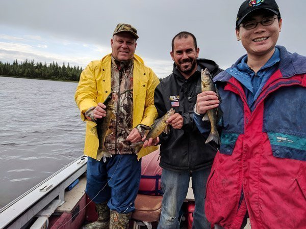 Three of us each caught a walleye while boat fishing