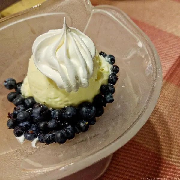 Wild blueberries with ice cream
