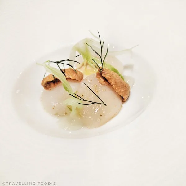 Chef's counter tasting menu - Picture of ALO RESTAURANT, Toronto -  Tripadvisor