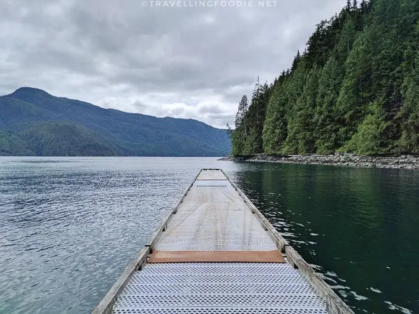 Build This PORTABLE Monster Rod Holders Dock / Pier Mount for $5