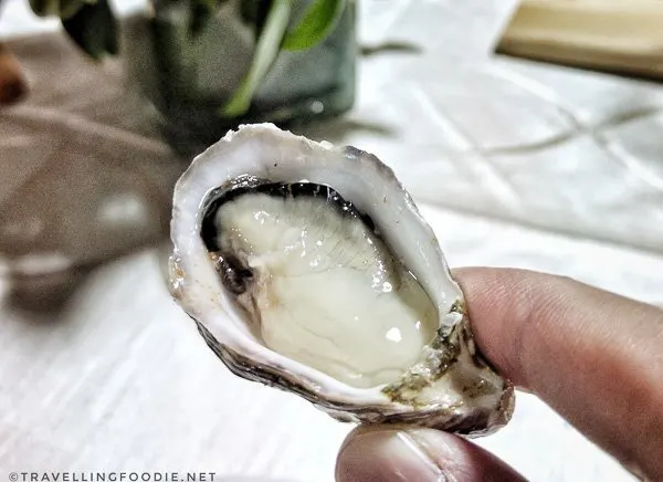 Single Kuushi Oysters for BC Shellfish and Seafood Festival 2017 in Comox Valley, British Columbia