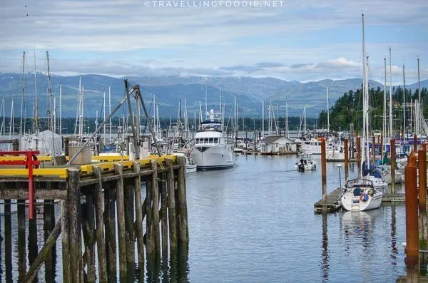 Fisherman's Wharf Vessel Tours at Comox Marina in Comox Valley, British Columbia