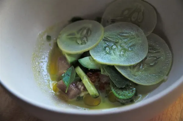 Albacore Tuna
