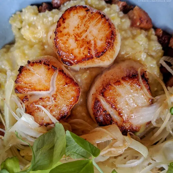 Scallops & Grits with Pork Belly from Field Guide in Halifax