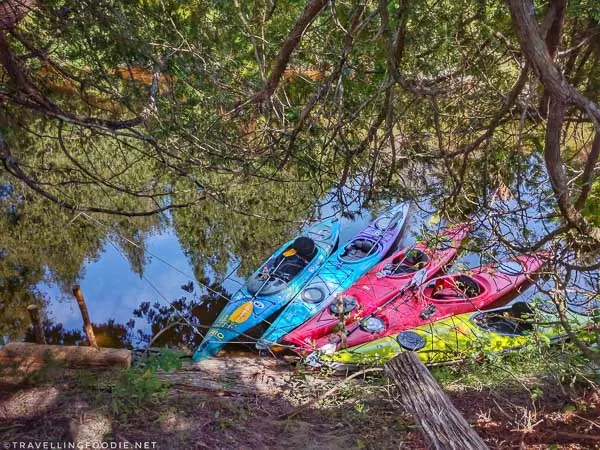 Kayak at Shore Lunch - Great Canadian Kayak Challenge & Festival - Timmins, Ontario