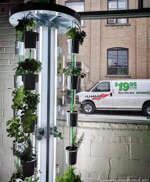 The Nutritower by Nutritower at Green Living Show 2017 Media Preview