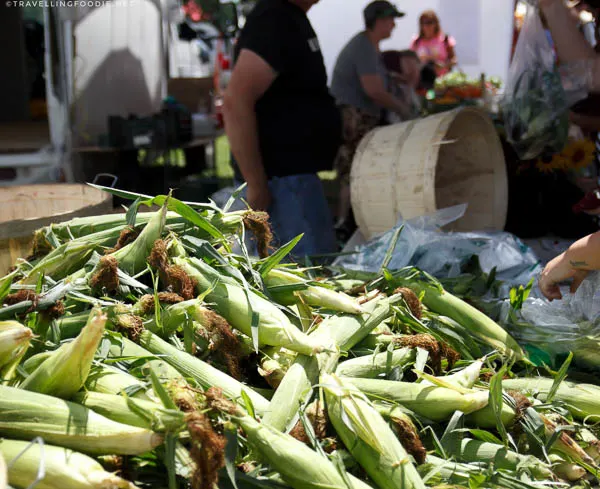 Fresh Corn at Haliburton County Farmers' Market in Haliburton, Ontario