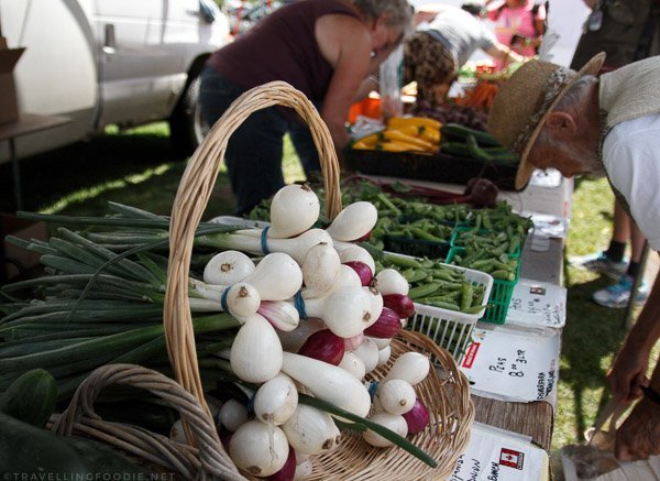 Fresh Vegetables at Haliburton County Farmers' Market in Haliburton, Ontario