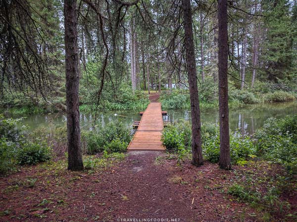 A bridge to a small island in Saw Lake at Ivanhoe Provincial Park in Sudbury, Ontario