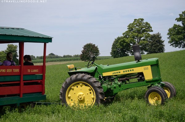 Farm Wagon Tour at Leaping Deer Adventure Farm in Ingersoll, Oxford County, Ontario