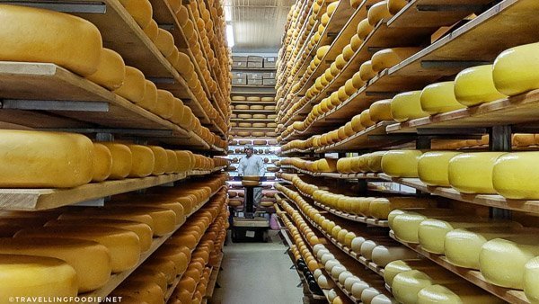 Aging Room of Mountainoak Cheese in New Hamburg, Oxford County, Ontario