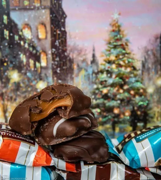 TURTLES Chocolate with Christmas Postcard Backdrop