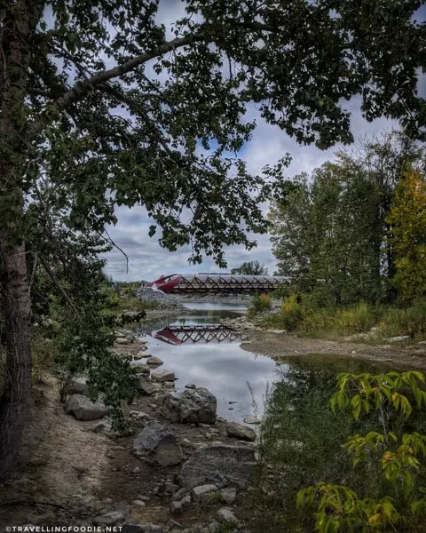 Framing Peace Bridge at Prince's Island Park in Calgary, Alberta