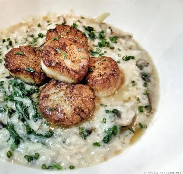 Scallop Risotto at Auguste Restaurant in Sherbrooke, Quebec