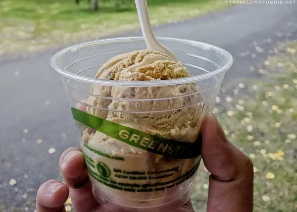 Maple Sugar Ice Cream