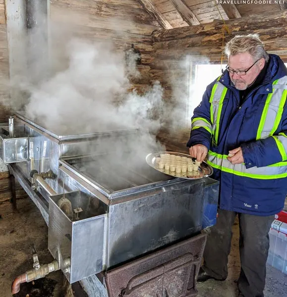Modern way of evaporating raw maple sap at Ganaraska Forest Centre