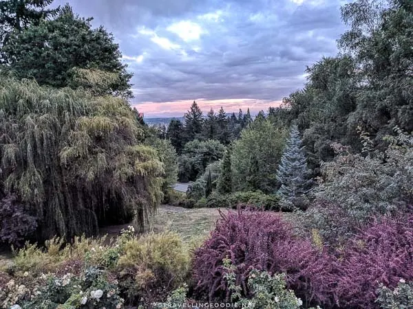 View of International Rose Test Garden in Portland, Oregon