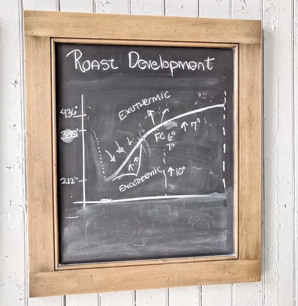 Coffee Roast Development Graph at Las Chicas del Cafe in St. Thomas, Elgin County, Ontario