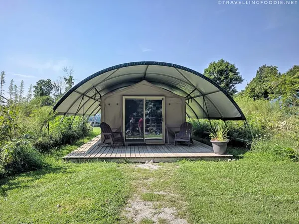 Wilderness Suite Glamping Tent at Long Point Eco Adventures in St. Williams, Norfolk County, Ontario