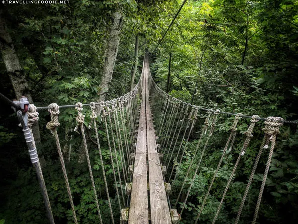 Suspension Bridge at Long Point Eco Adventures in St. Williams, Norfolk County, Ontario