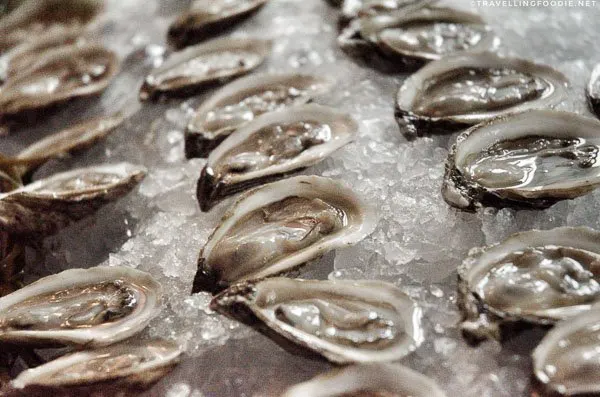 Village Bay Oysters from Rodney's Oyster House in Montecito Summer Farmers Market in Toronto, Ontario
