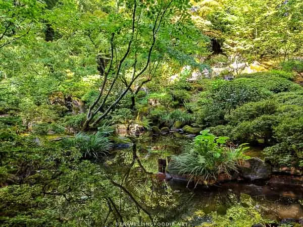 The Natural Garden at Portland Japanese Garden in Portland, Oregon