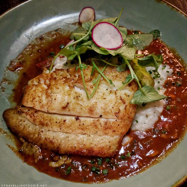 Local Fish at Preserved in St. Augustine, Florida