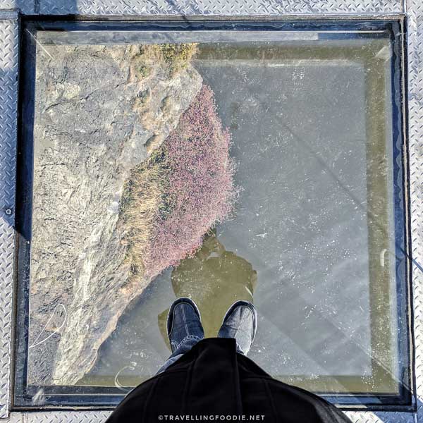 Standing on Skywalk glass floor in Saint John, New Brunswick