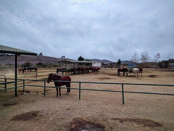 Rocking K Horse Rental Stables in Newbury Park, Conejo Valley, California