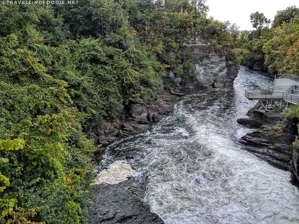 Nature views along the River Walk