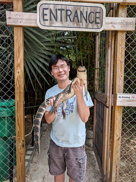 Travelling Foodie with baby alligator Walter at Smooth Waters Wildlife Park