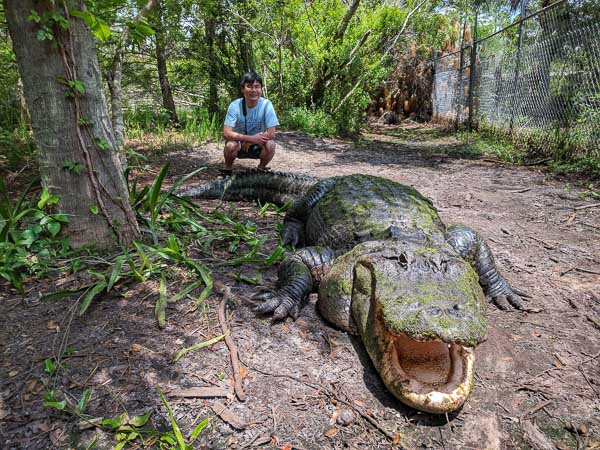 Raymond with 13-foot alligator at Smooth Waters Wildlife Park in De Leon Springs, Florida