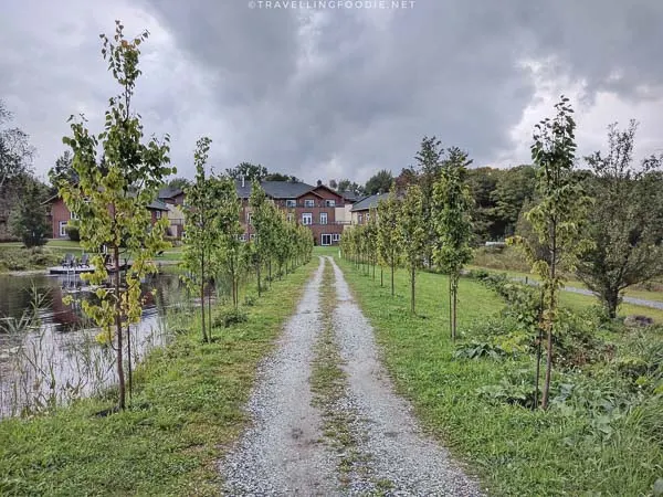 Pathway to the lodge at Spa Eastman in Eastern Townships, Quebec