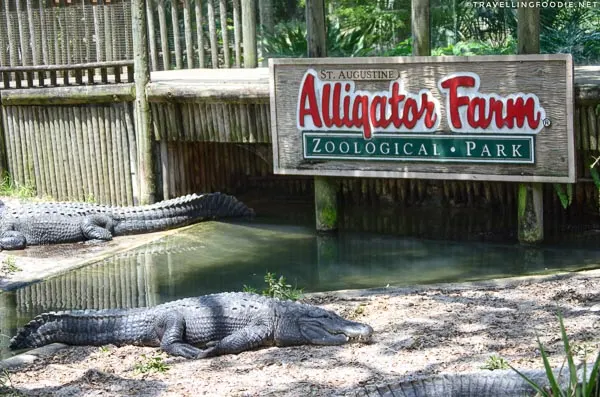 St. Augustine Alligator Farm Zoological Park sign
