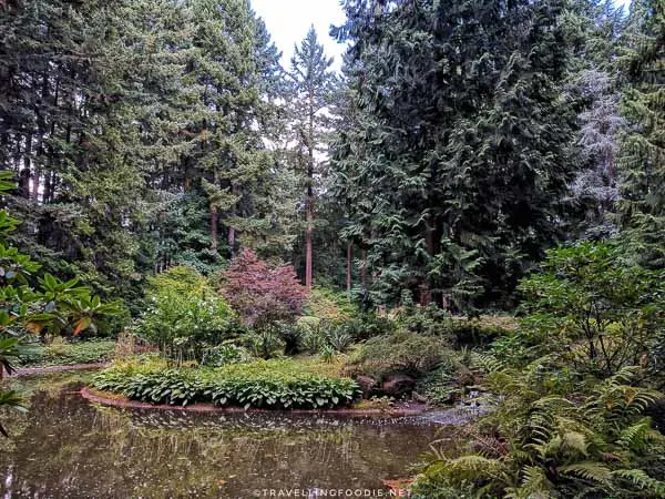 Peace Garden at The Grotto in Portland, Oregon