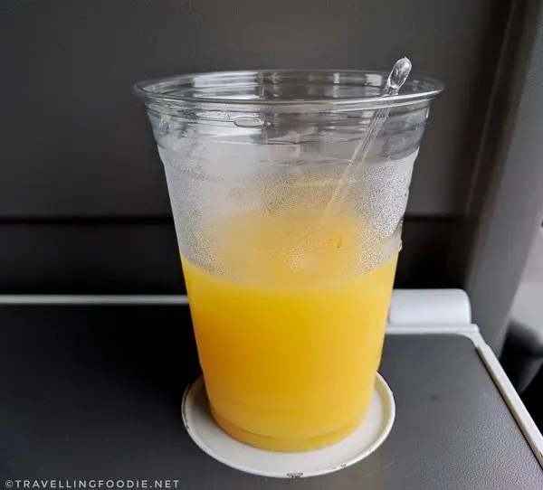 Vodka Orange at Via Rail Business Class from Toronto to Kingston, Ontario