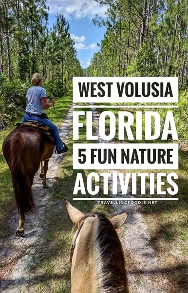 West Volusia, Florida: Experience Old Florida's nature and outdoors with these best things to do in West Volusia including Skydive DeLand, Smooth Waters Wildlife Park, Deep Creek Stables, Blue Spring State Park and De Leon Springs State Park.
