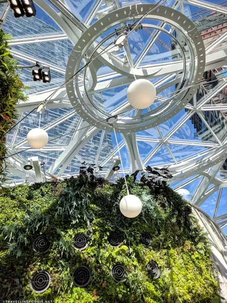 Ceiling of the The Spheres in Amazon Headquarters, Seattle, Washington