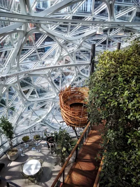 Bird's Nest at The Amazon Spheres in Seattle, Washington