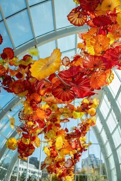 Chihuly Garden and Glass' The Glasshouse in Seattle, Washington
