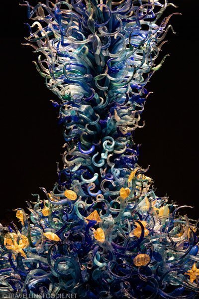 Sealife Tower at Chihuly Garden and Glass in Seattle, Washington