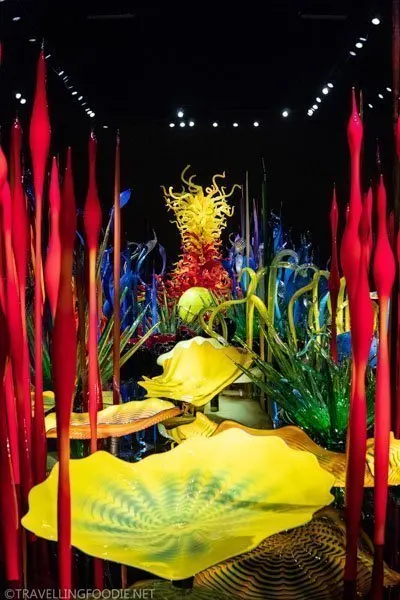 Mille Fiori at Chihuly Garden
