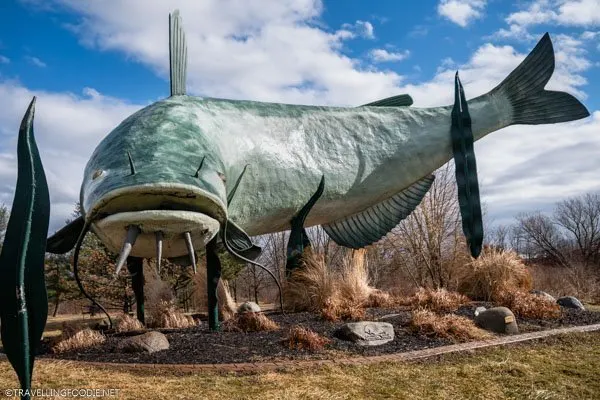 Fishing Gear for sale in Dunnville, Ontario