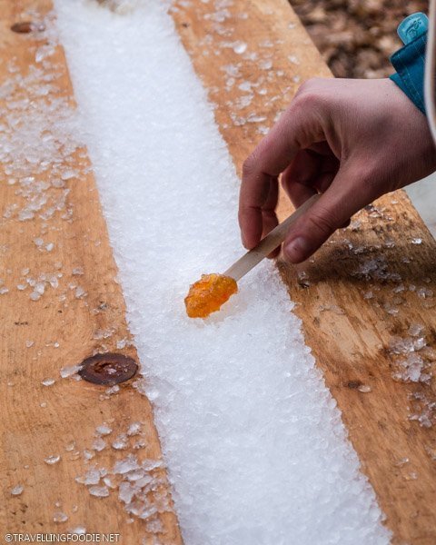 Making Maple taffy at Richardson's Farm and Market in Dunnville, Haldimand County, Ontario